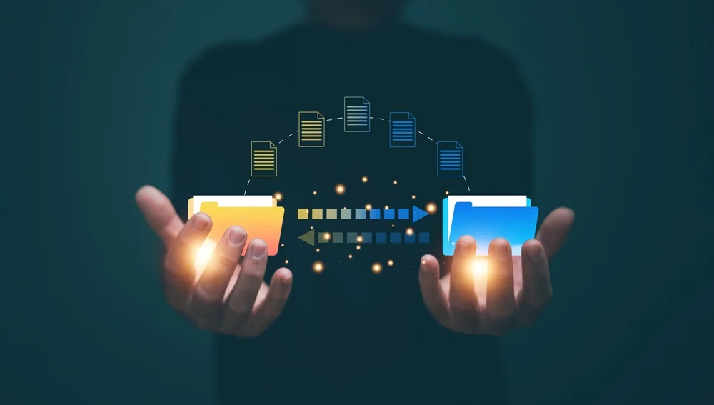 Migration Execution